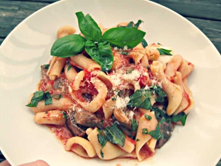 Top view of a bowl of pasta with eggplant and tomatoes.