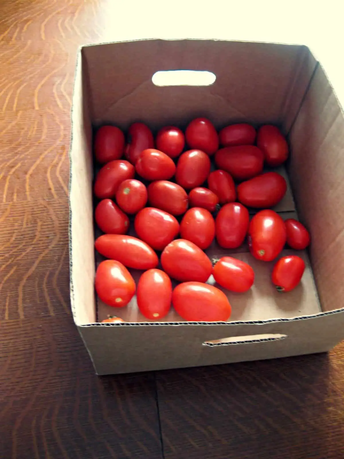 good tomatoes make good neighbors
