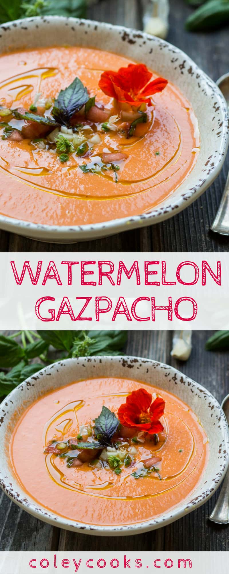 WATERMELON GAZPACHO| Easy vegan gazpacho recipe! Silky smooth, perfectly balanced, insanely delicious on a hot summer day! #summer #soup #watermelon #gazpacho #vegan #plantbased #recipe | ColeyCooks.com