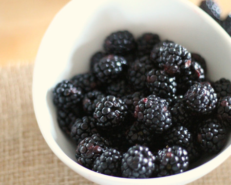 A small white bowl of fresh blackberries.