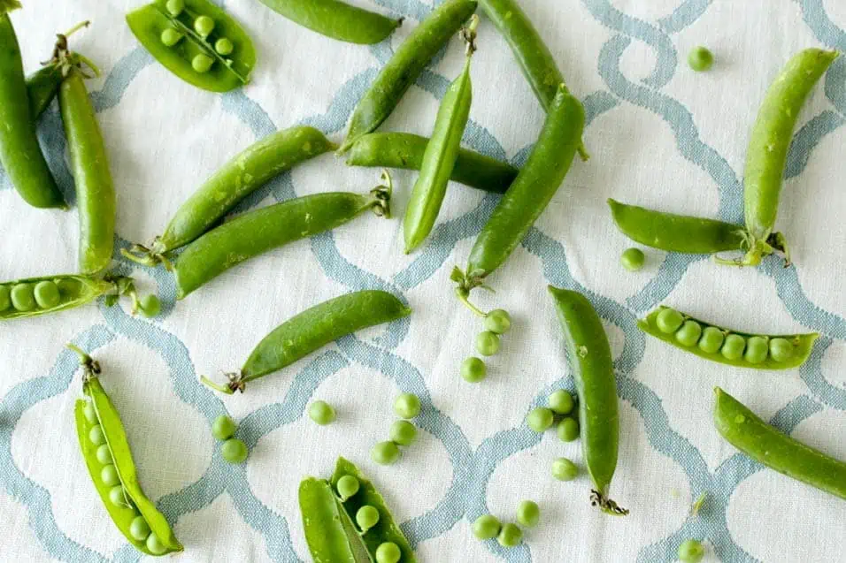 Fresh pea pods on a white and blue tablecloth.
