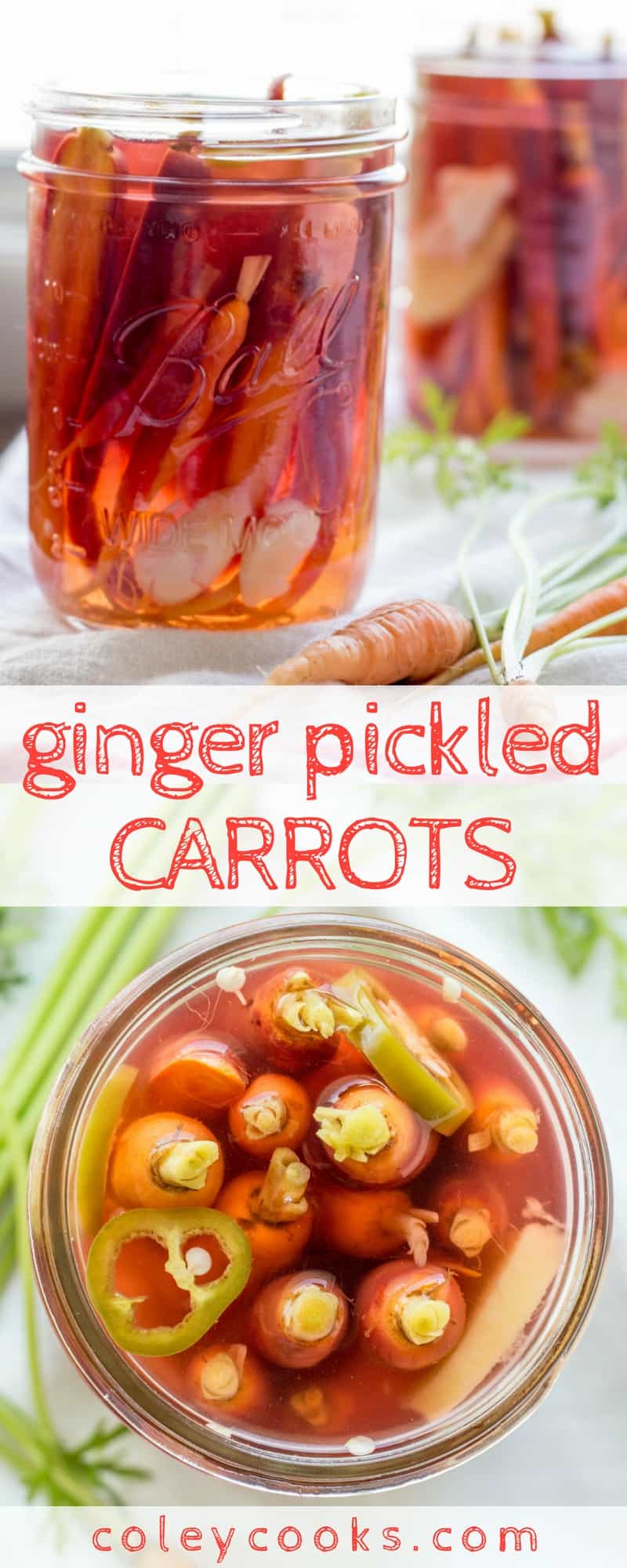 GINGER PICKLED CARROTS | This EASY recipe for ginger pickled carrots produces crunchy, tangy, super flavorful carrot pickles! Paleo, vegan, gluten free. | ColeyCooks.com