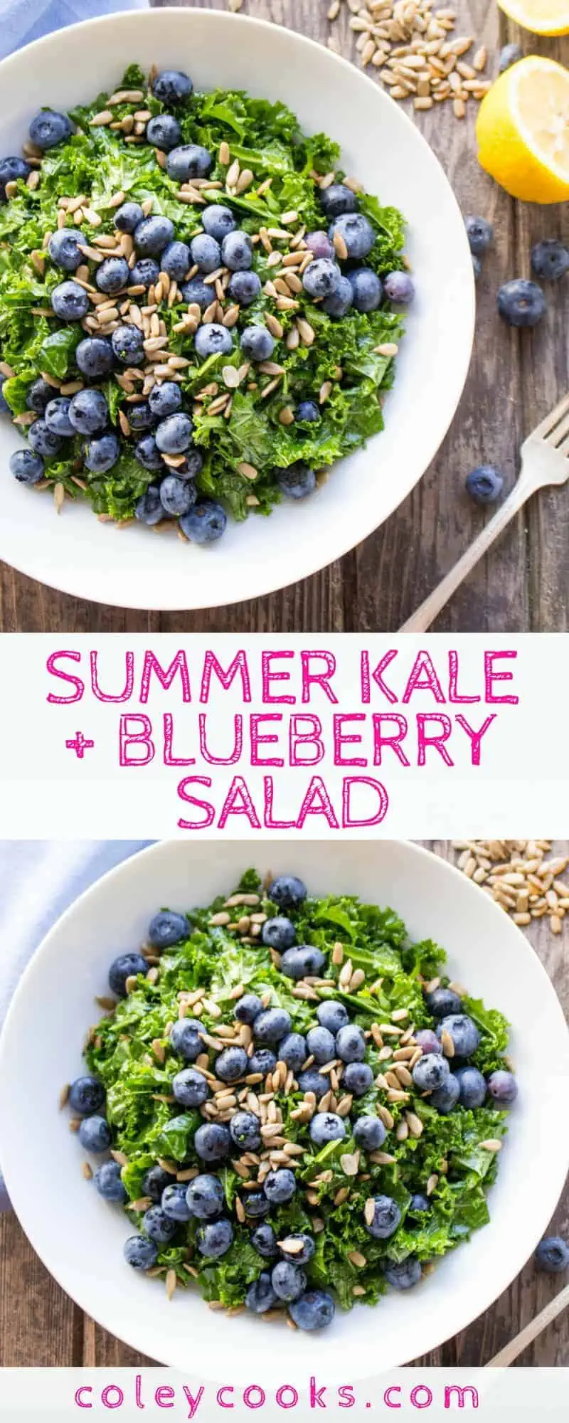 SUMMER KALE + BLUEBERRY SALAD | Easiest ever summer salad recipe with a simple honey lemon vinaigrette, crunchy sunflower seeds, sweet blueberries and massaged kale! #glutenfree #vegan #plantbased #paleo | ColeyCooks.com