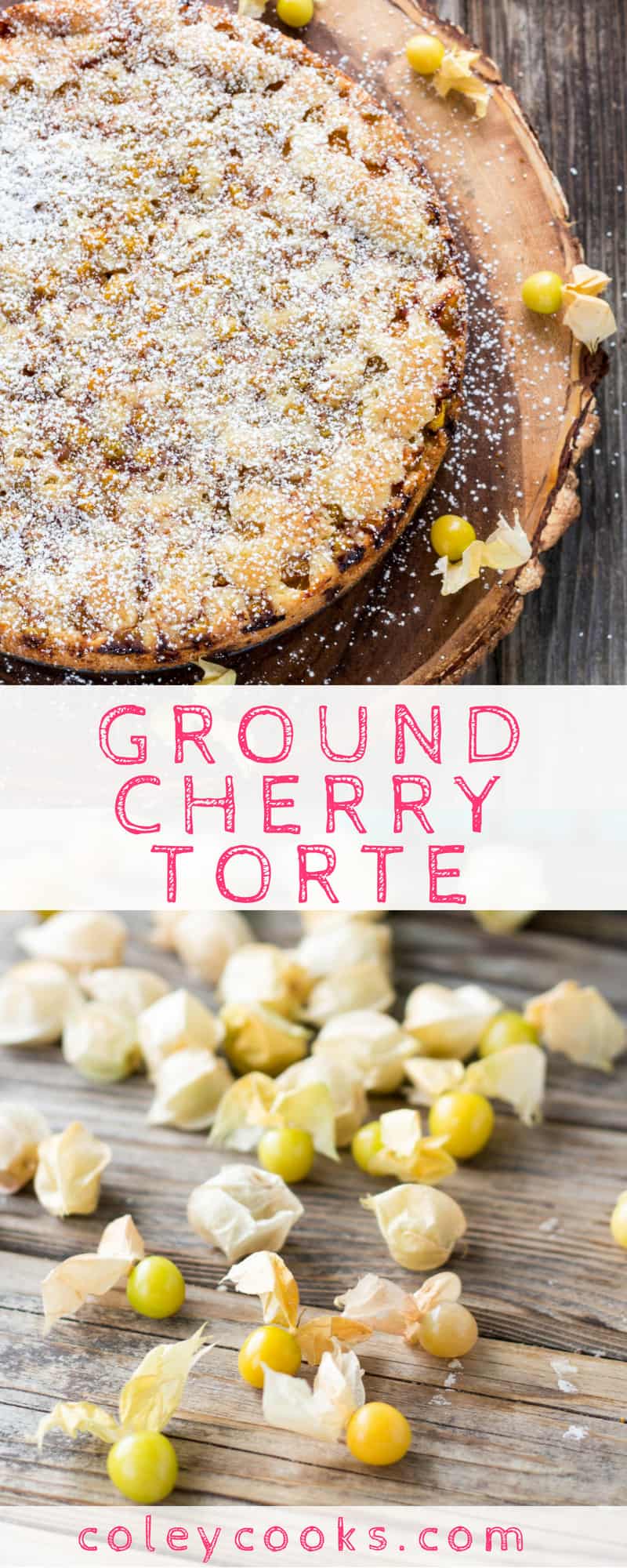 GROUND CHERRY TORTE | This easy cake recipe uses ground cherries aka husk cherries or gooseberries! It's dense and moist and absolutely delicious #easy #groundcherries #gooseberries #cake #recipe | ColeyCooks.com