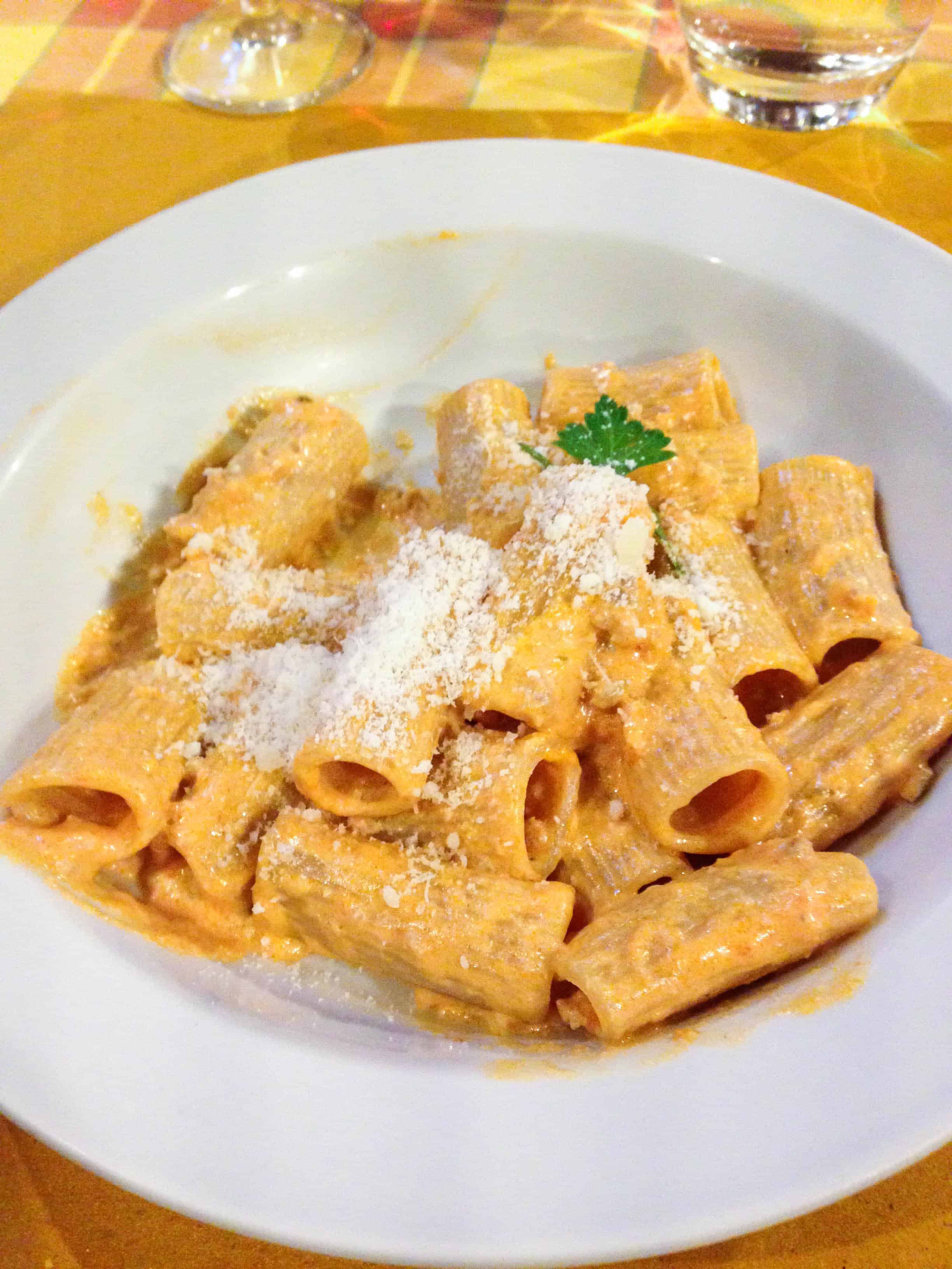 A shallow bowl of rigatoni in cream sauce.
