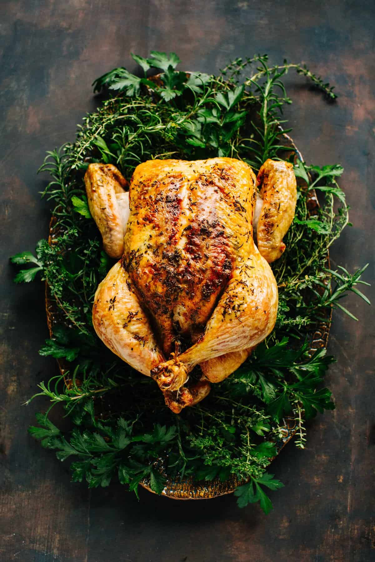 Fresh whole turkey on white background with herbs. Thanksgiving