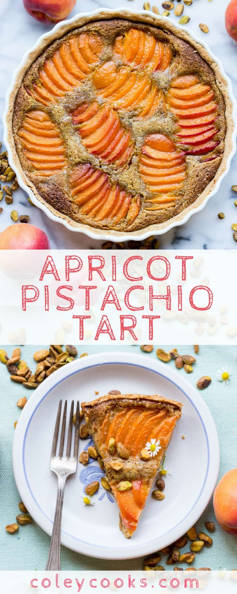 APRICOT PISTACHIO TART | Buttery shortbread crust, pistachio frangipane and juicy fresh apricots. A beautiful, surprisingly easy summer dessert recipe! | ColeyCooks.com
