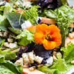 Close up of edible flowers and sweet corn topping a leafy green salad.