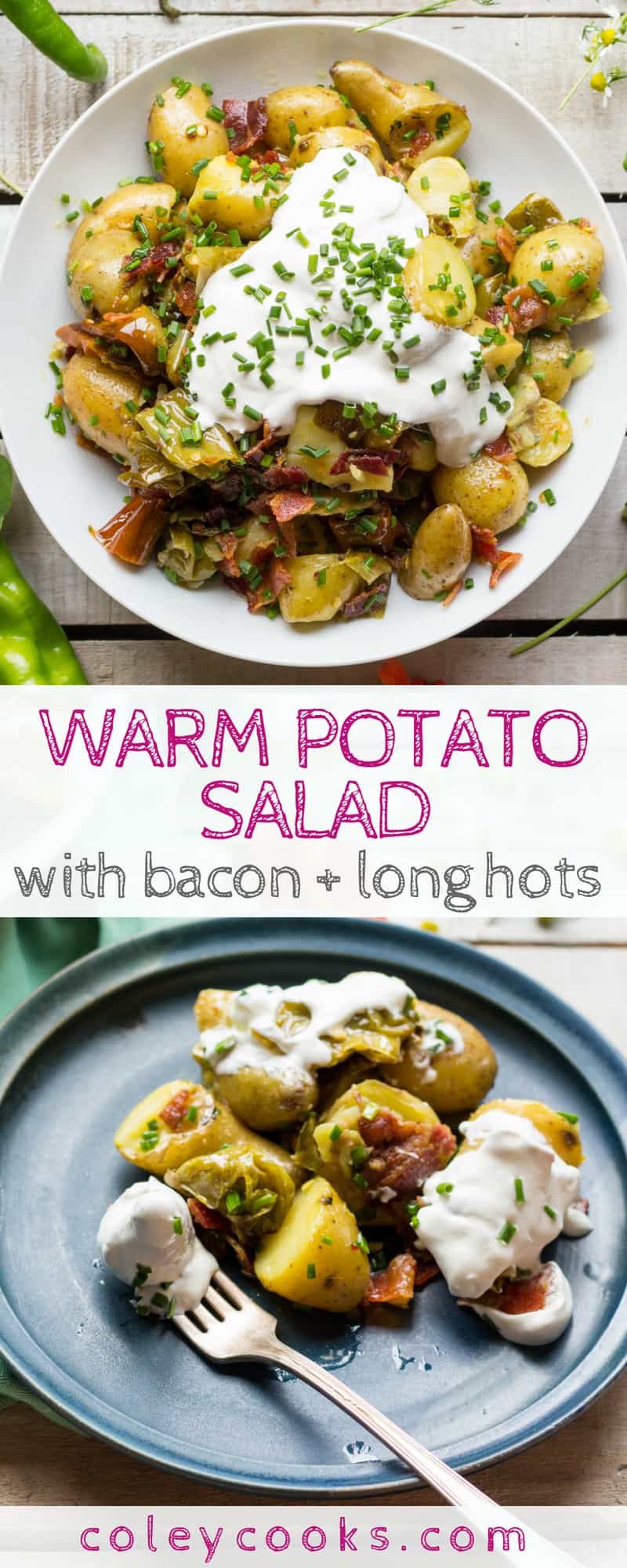 WARM POTATO SALAD with BACON + LONG HOTS | My favorite potato salad recipe has no mayonnaise and tons of flavor from crispy bacon, spicy long hots, sour cream and chives. #potatoes #salad #side #reicpe #summer | ColeyCooks.com