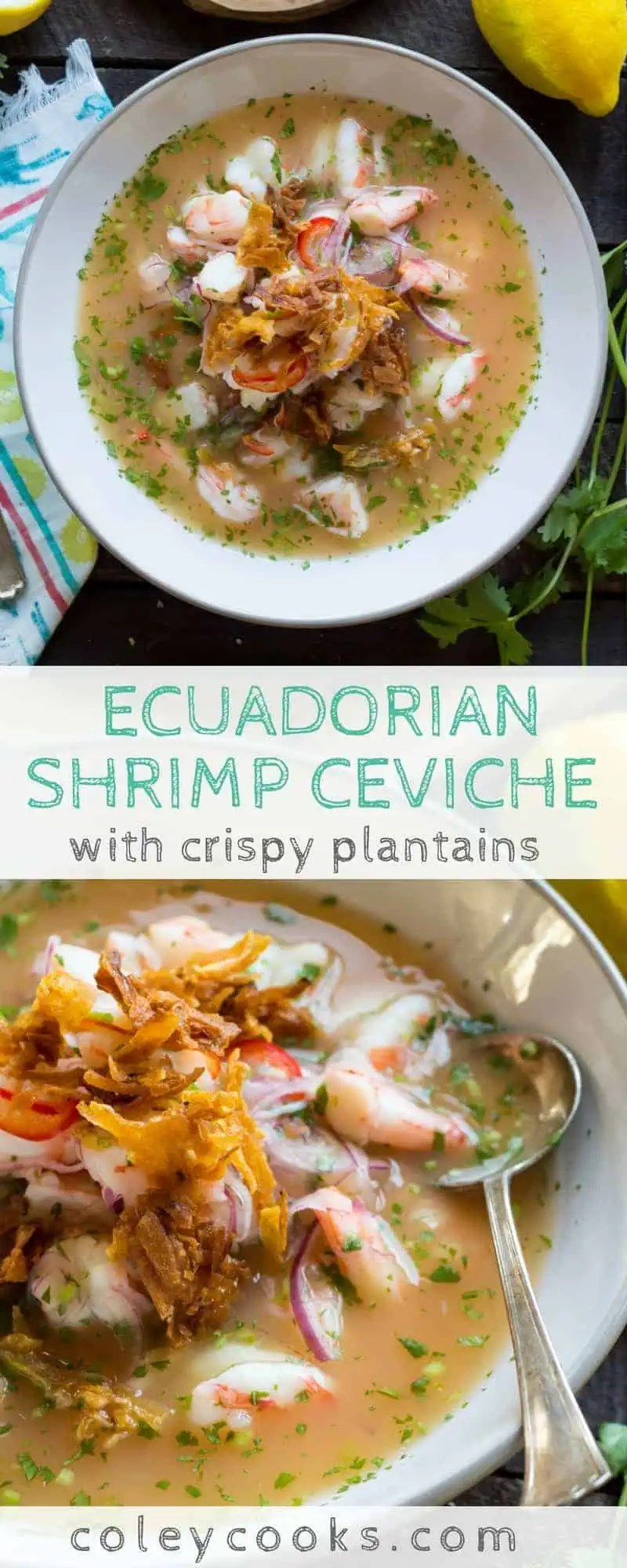 ECUADORIAN SHRIMP CEVICHE with CRISPY PLANTAINS | This easy recipe for Ecuadorian Shrimp Ceviche is light, gluten free, flavorful and refreshing! Perfect for the beach! #glutenfree | ColeyCooks.com