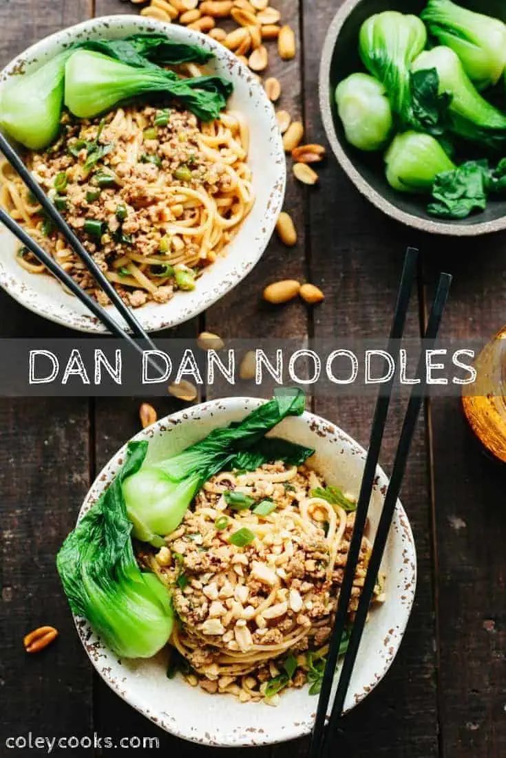 Dan Dan Noodles are a classic Sichuan street food made with ground pork and spicy chili oil. These noodles have the perfect balance of flavors and textures! #dandan #noodles #Chinese #sichuan #easy #recipe #spicy #pork | coleycooks.com
