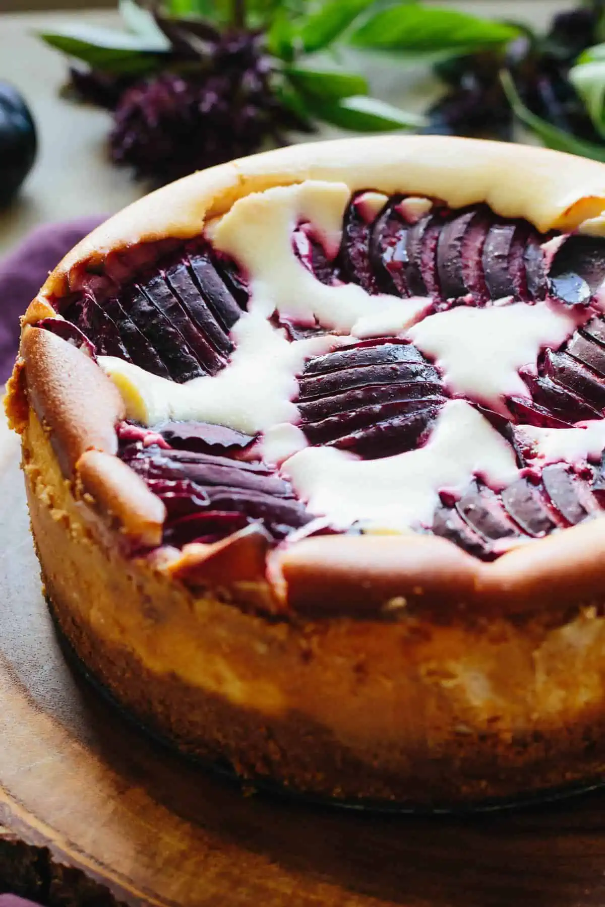 Close up top view of sliced plums baked into a ricotta cheesecake.