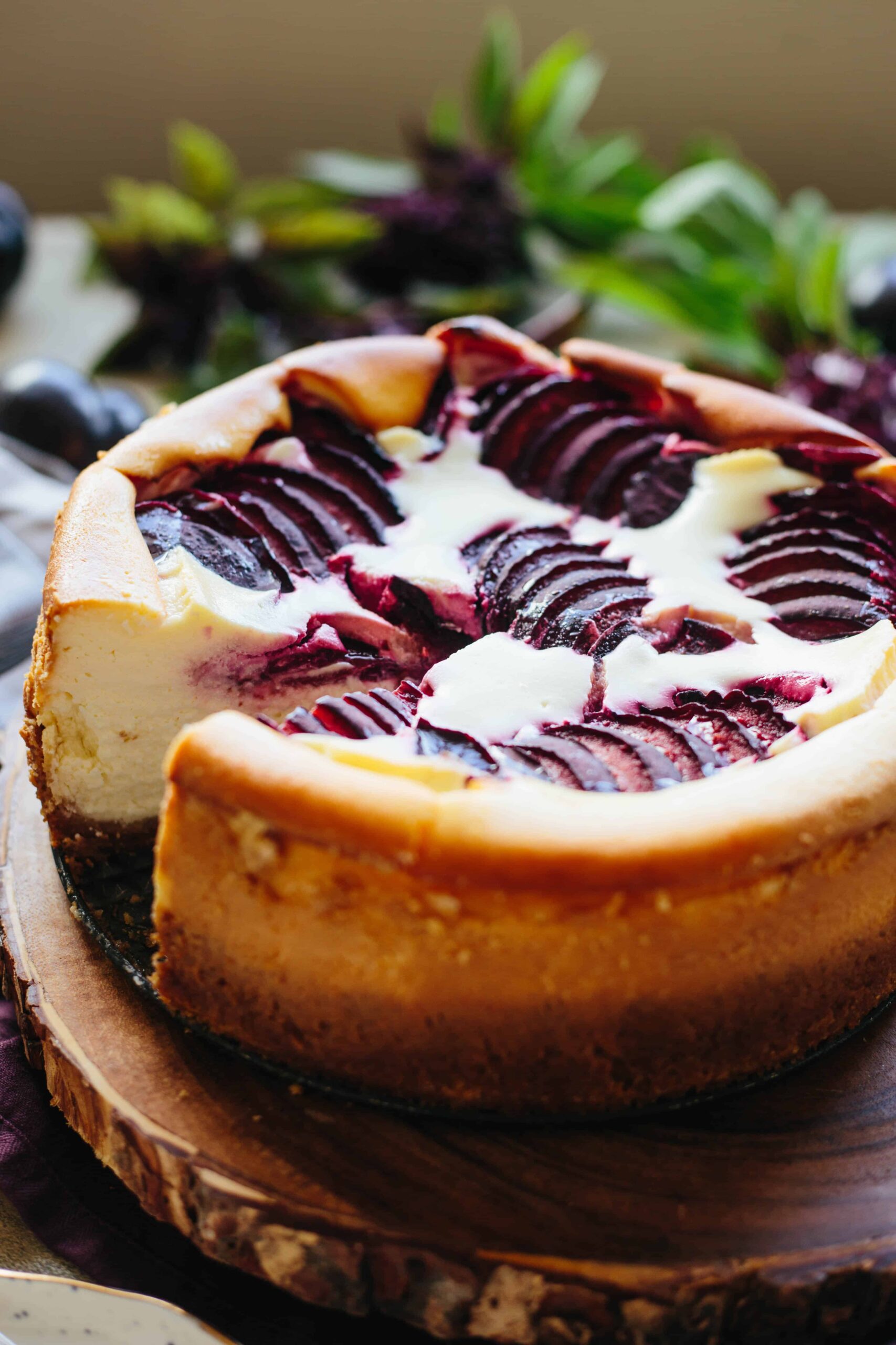 Ricotta Cheesecake with Plums
