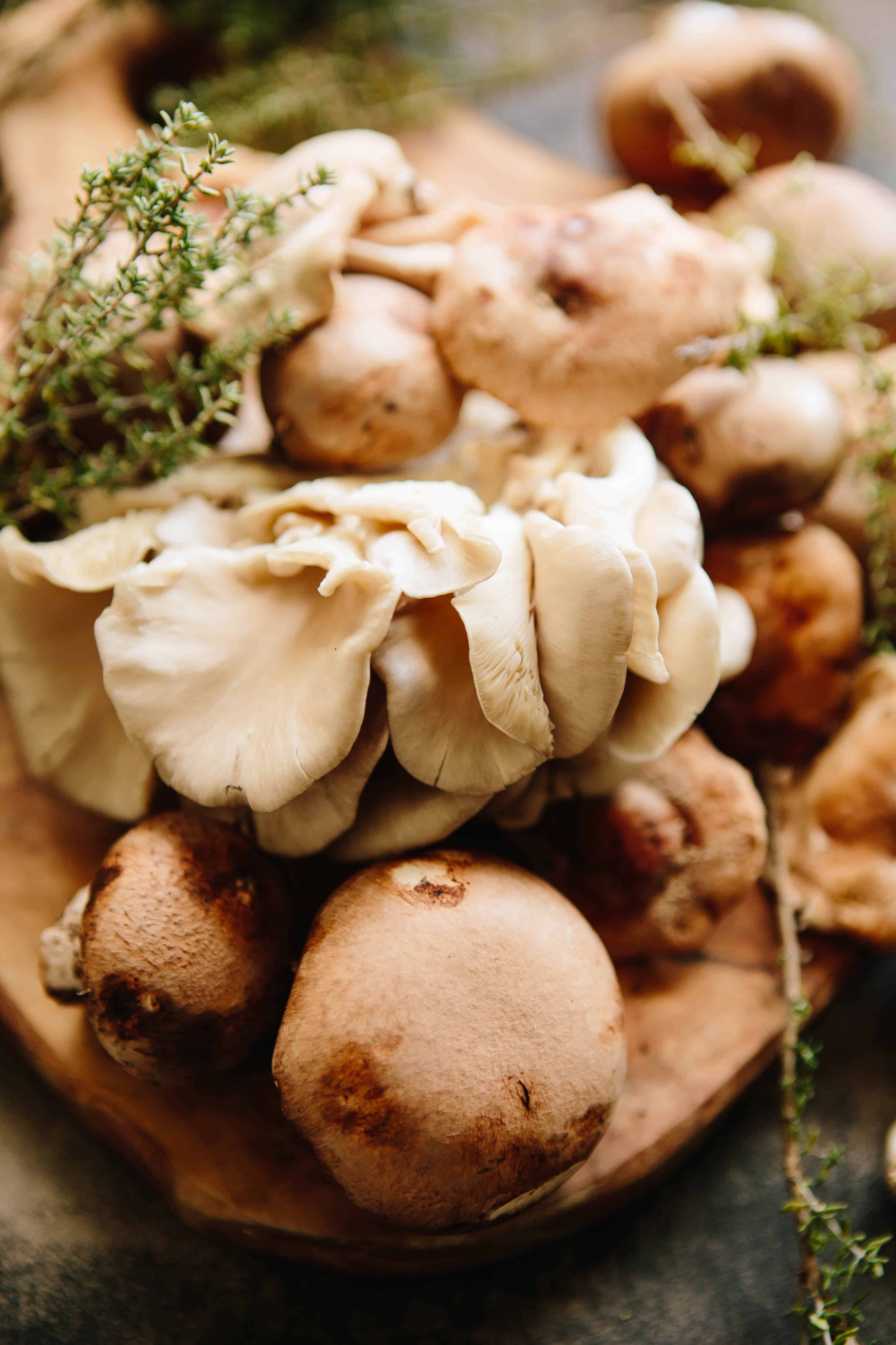 A close up shot of several raw mushroom varieties.