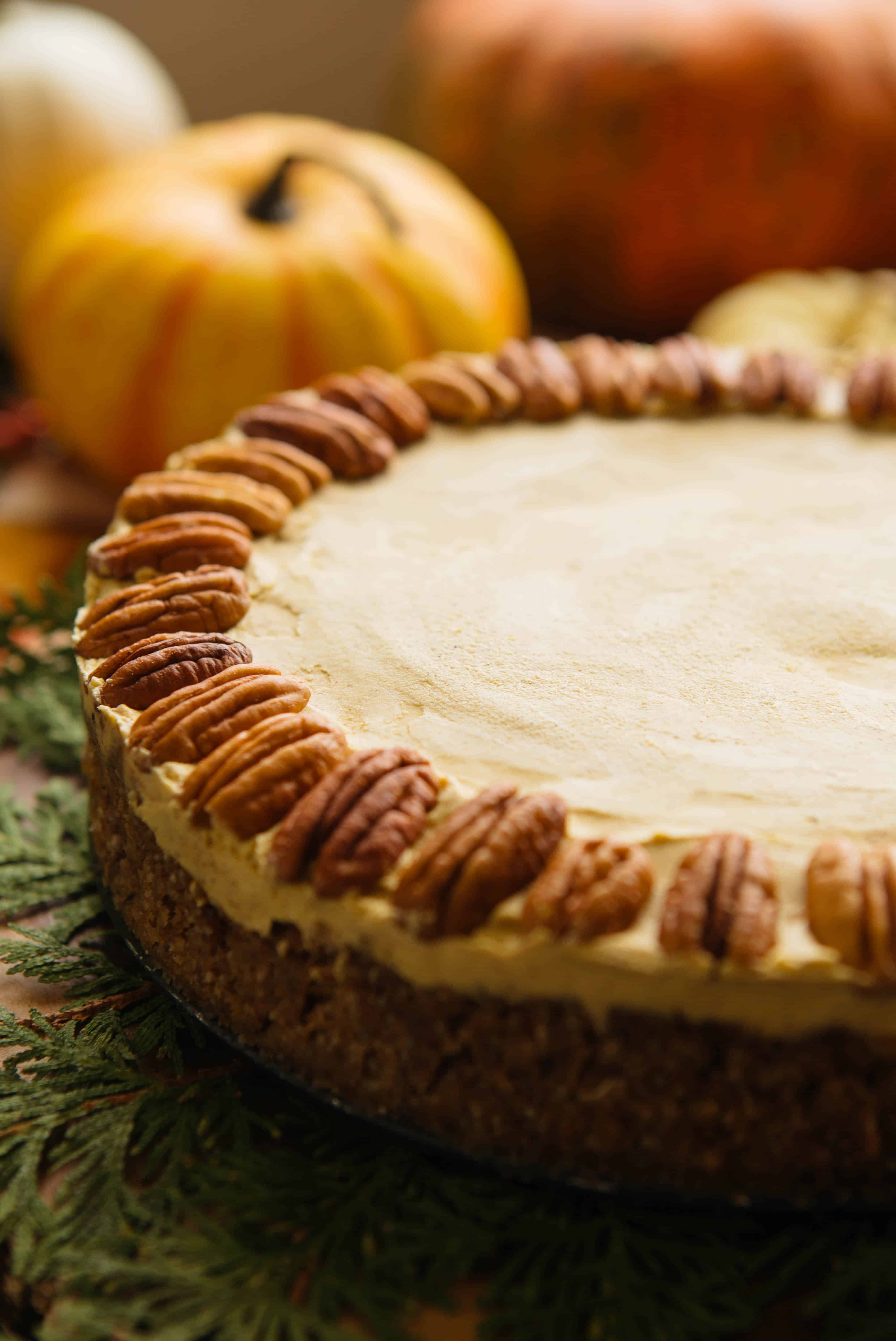 Side view of a vegan pumpkin cheesecake with pecan halves around the top edge.