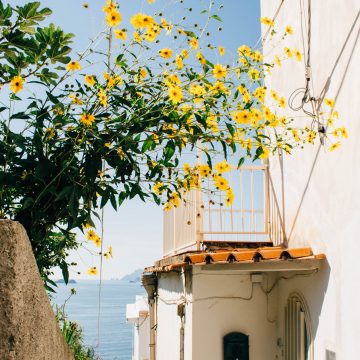 Amalfi Coast Scene - Praiano