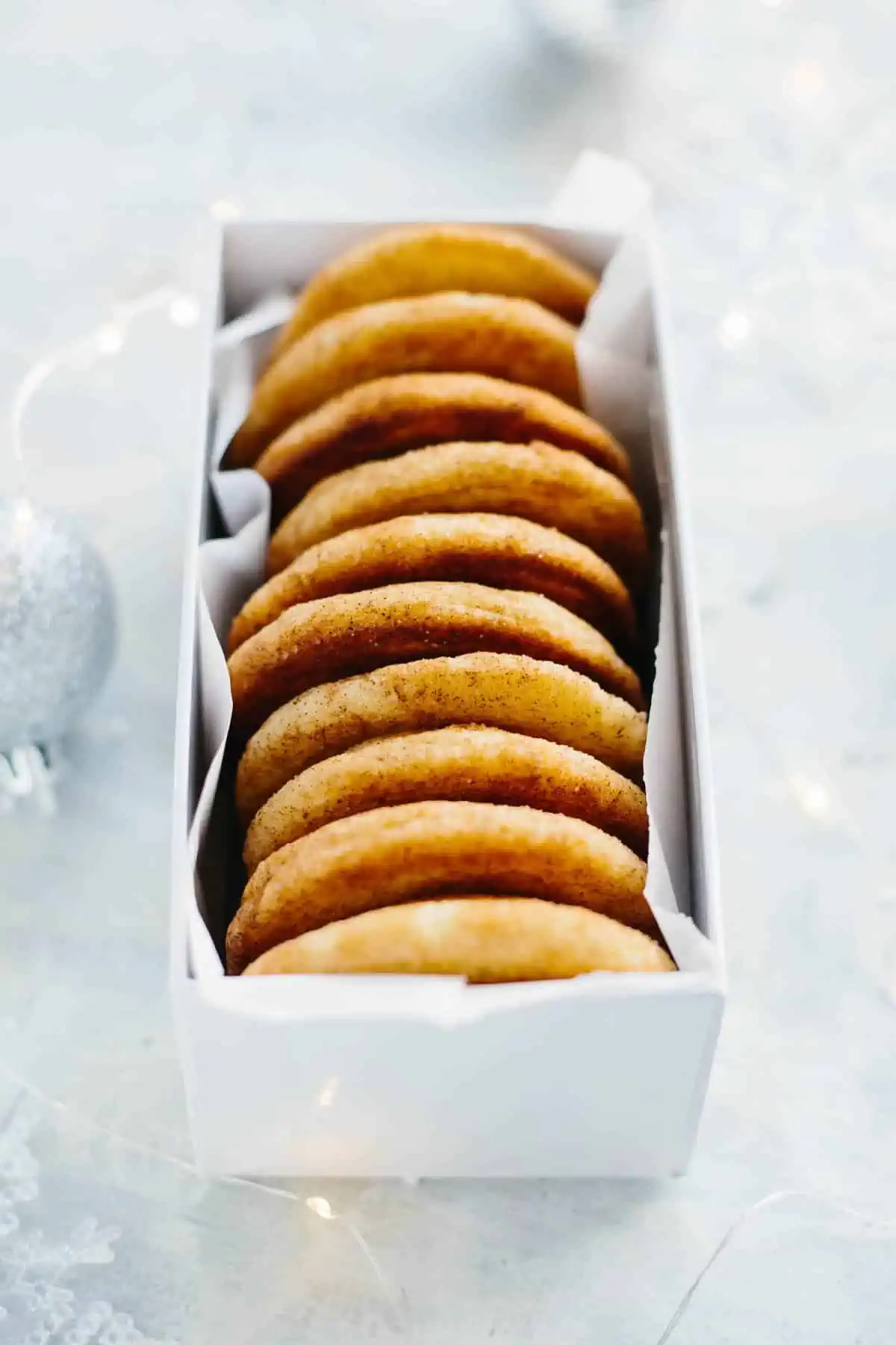 A gift box containing a row of snickerdoodle cookies stood on end.