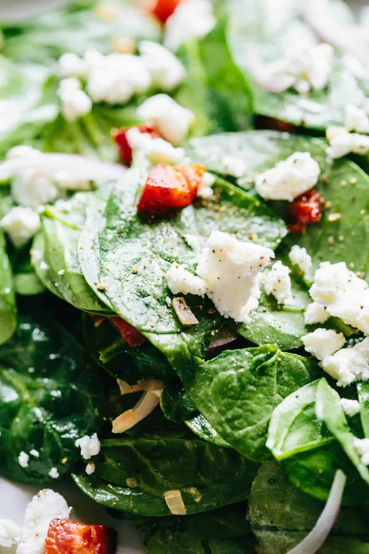 A close up of spinach salad with goat cheese and pancetta