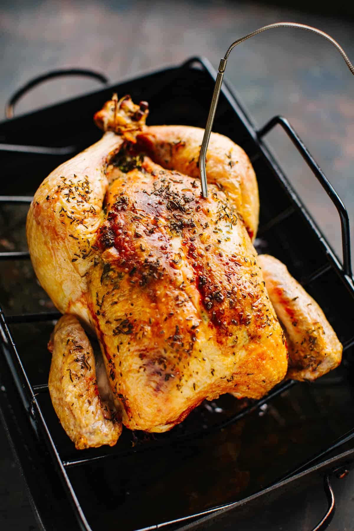 whole chicken in roasting pan