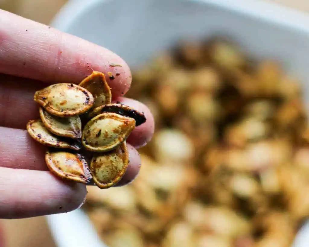 fingers holding a few brined and roasted pumpkin seeds