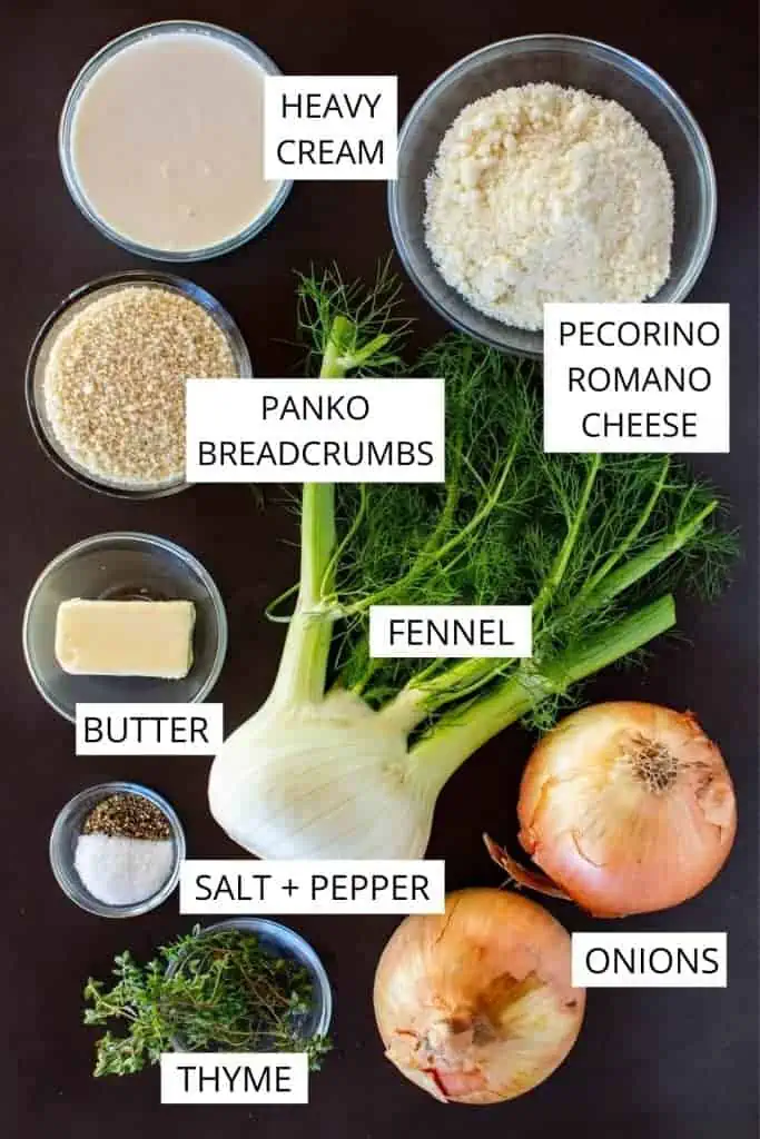 ingredients for fennel onion gratin on dark background