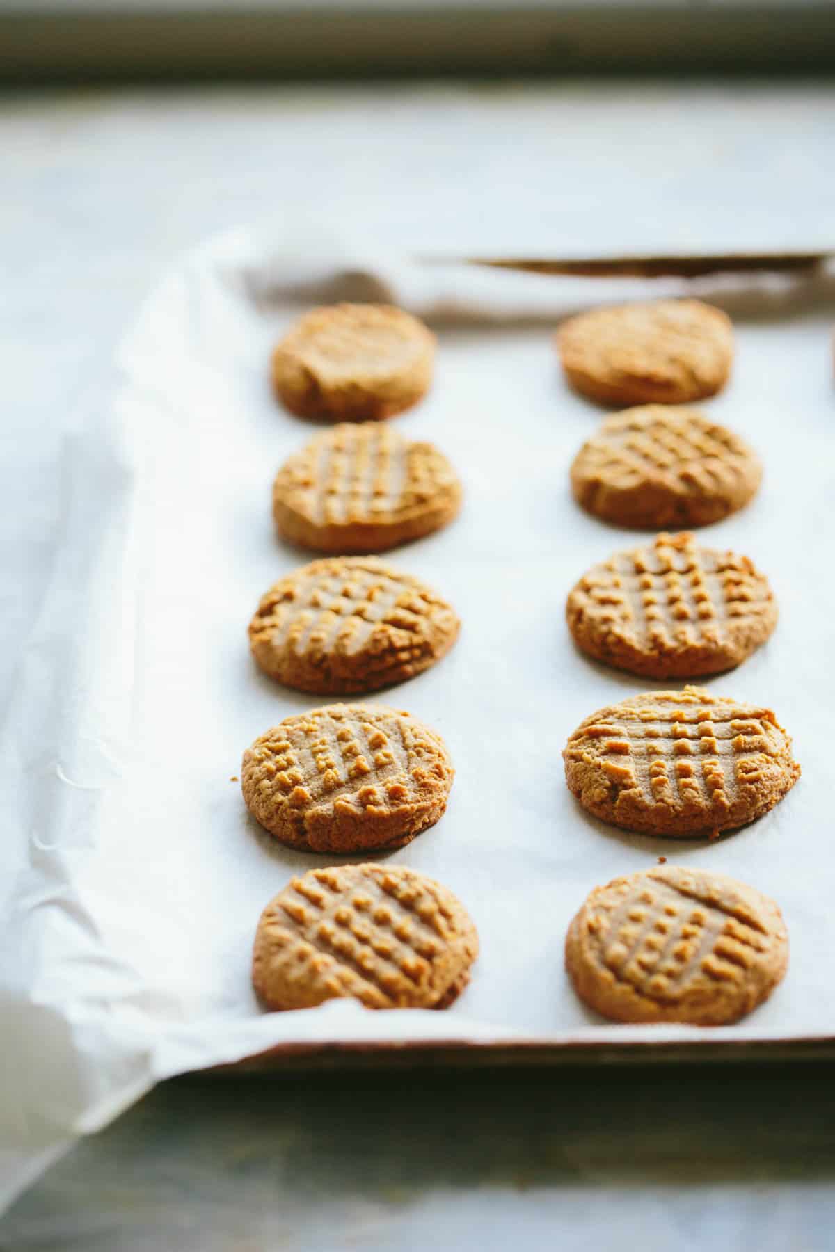 Just baked peanut butter cookies on a parchment lined baking sheet.