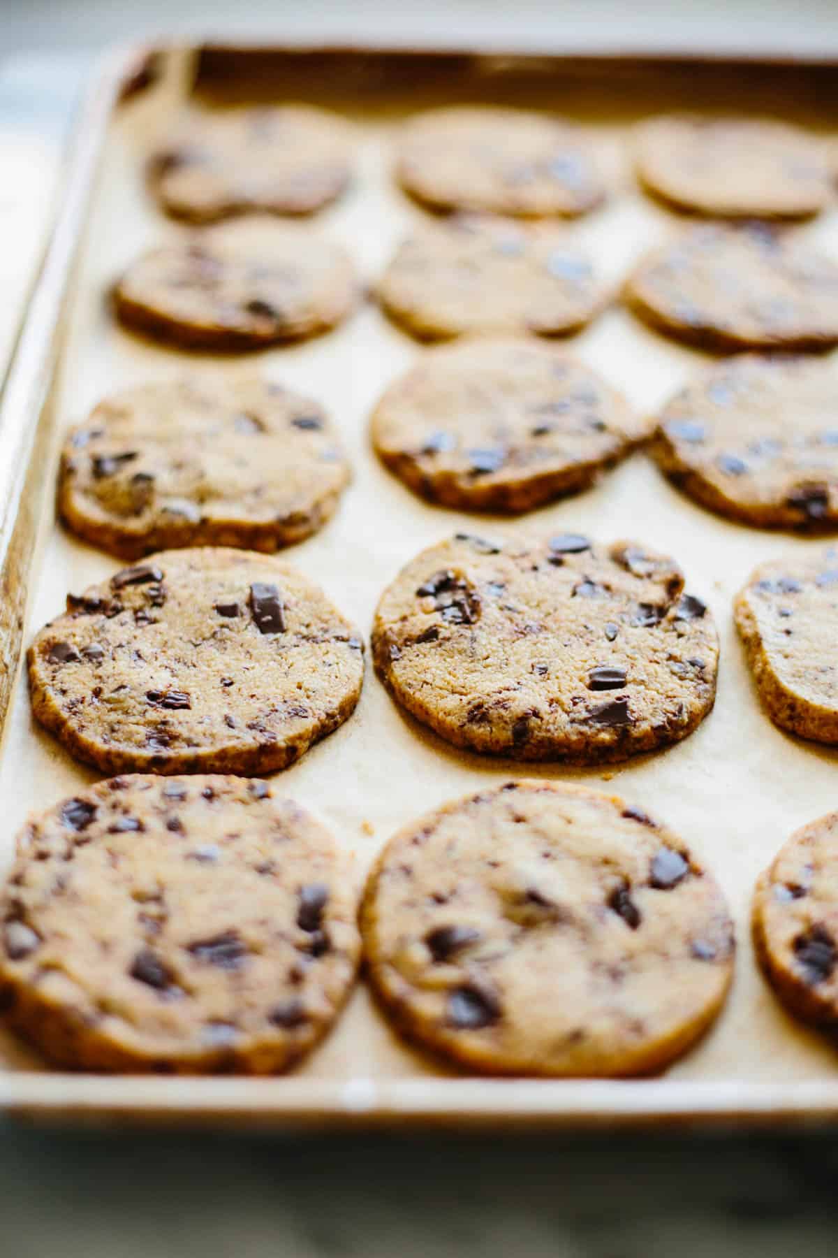 chocolate espresso shortbread cookies on a baking sheet