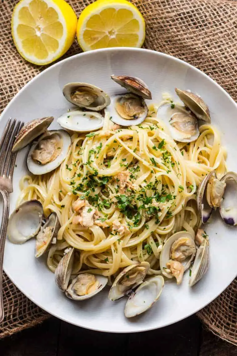 Pasta with clam sauce, served on a white plate. 