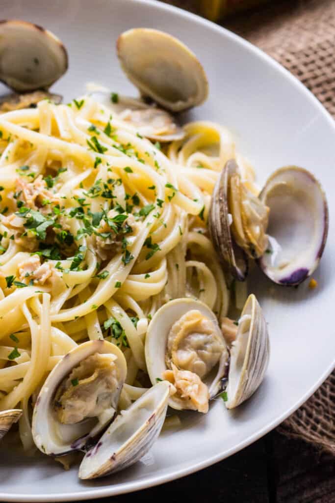close up of pasta and clams