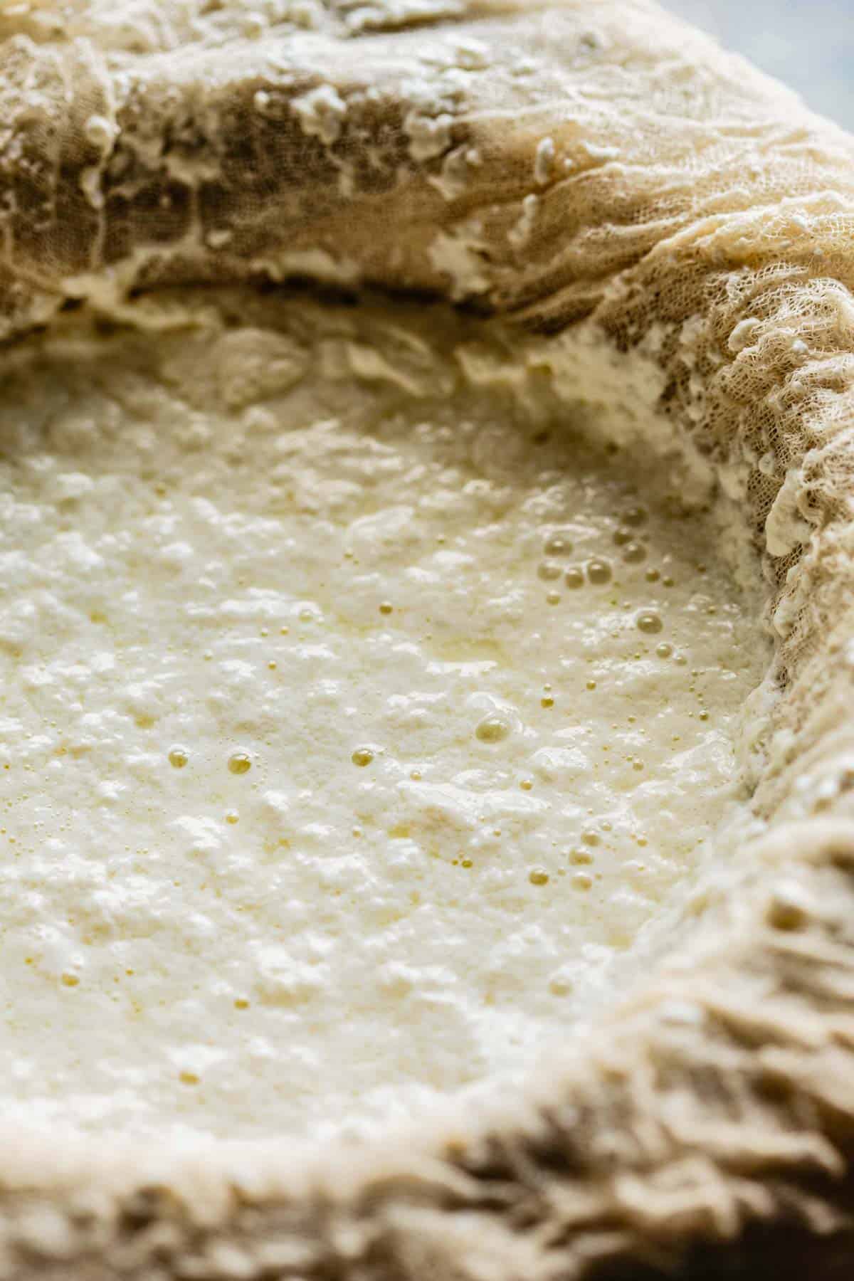 A close up of cheese curds draining in cheesecloth