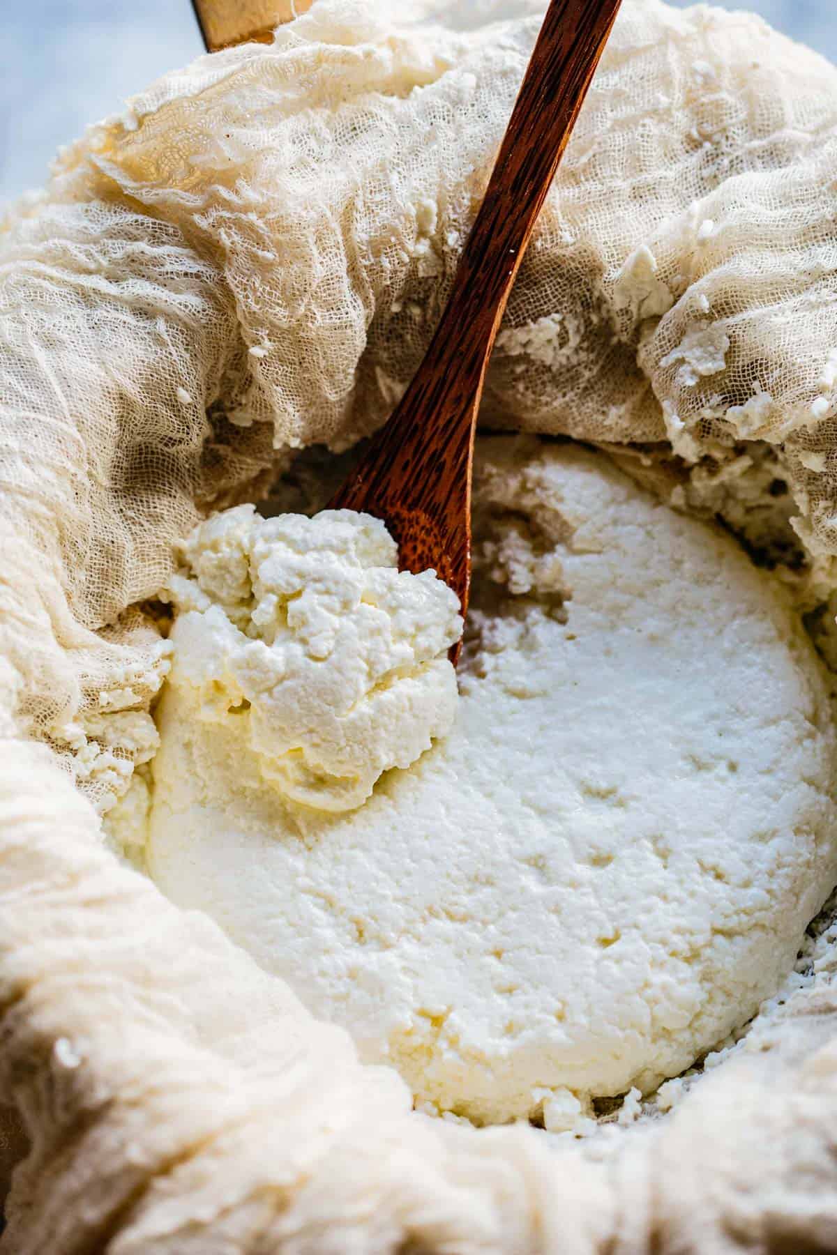 Easy Homemade Ricotta Cheese - Coley Cooks