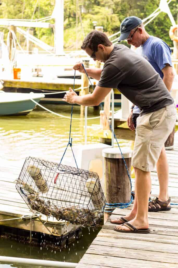 Two men on a dock pulling up a crab trap out of the water.