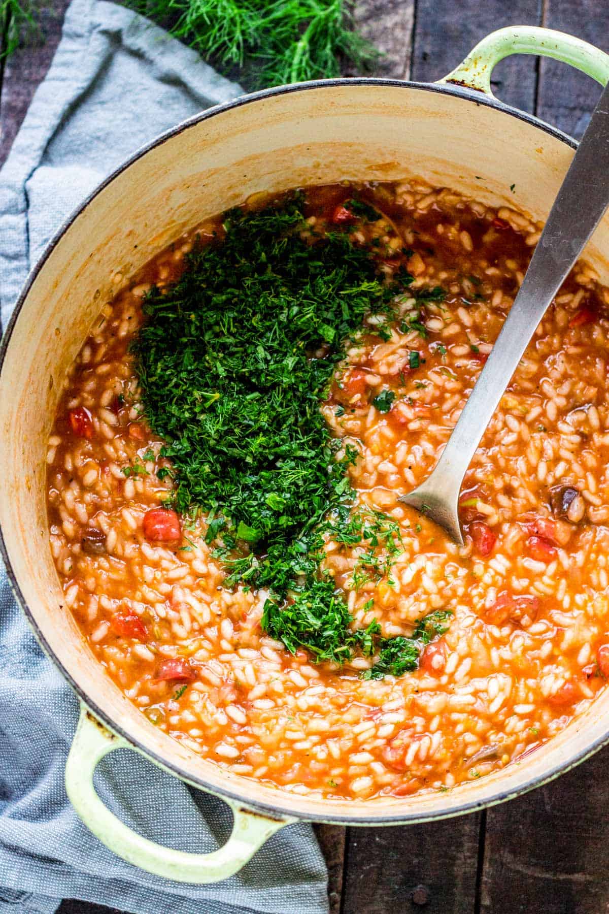 Summer Tomato Risotto with Fennel and Fresh Herbs - Coley Cooks