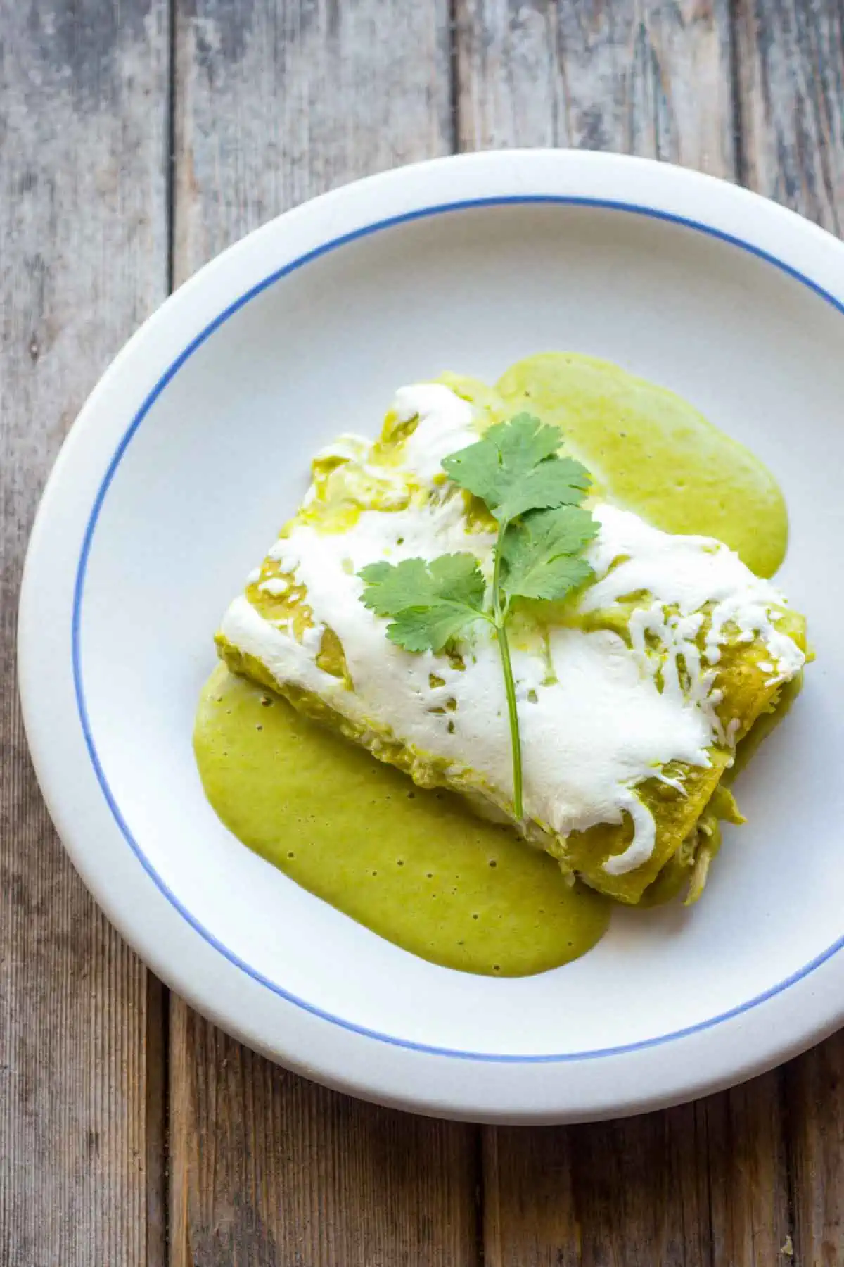 Top view of two Enchiladas Suizas on a gray plate garnished with cilantro.
