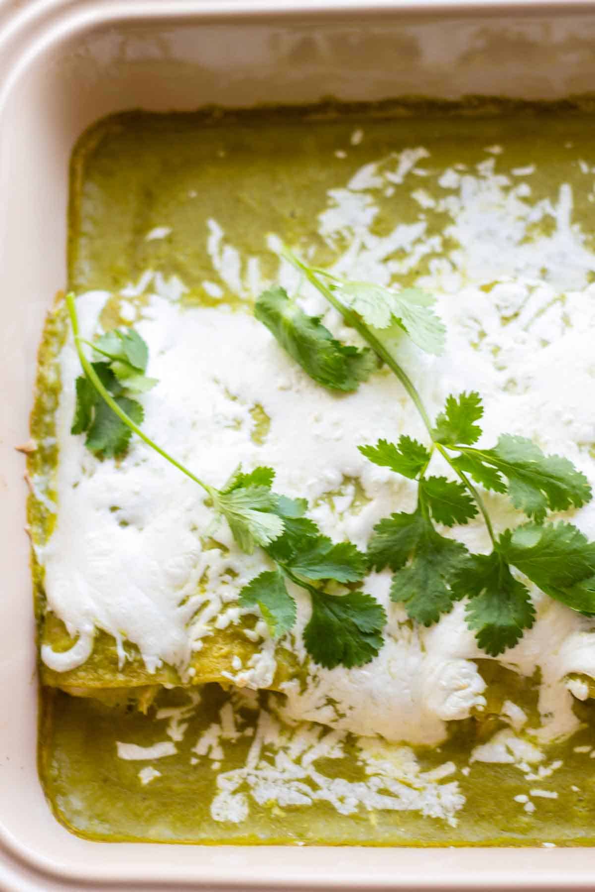 Close up of a tray of enchiladas Suizas verdes with cilantro on top.