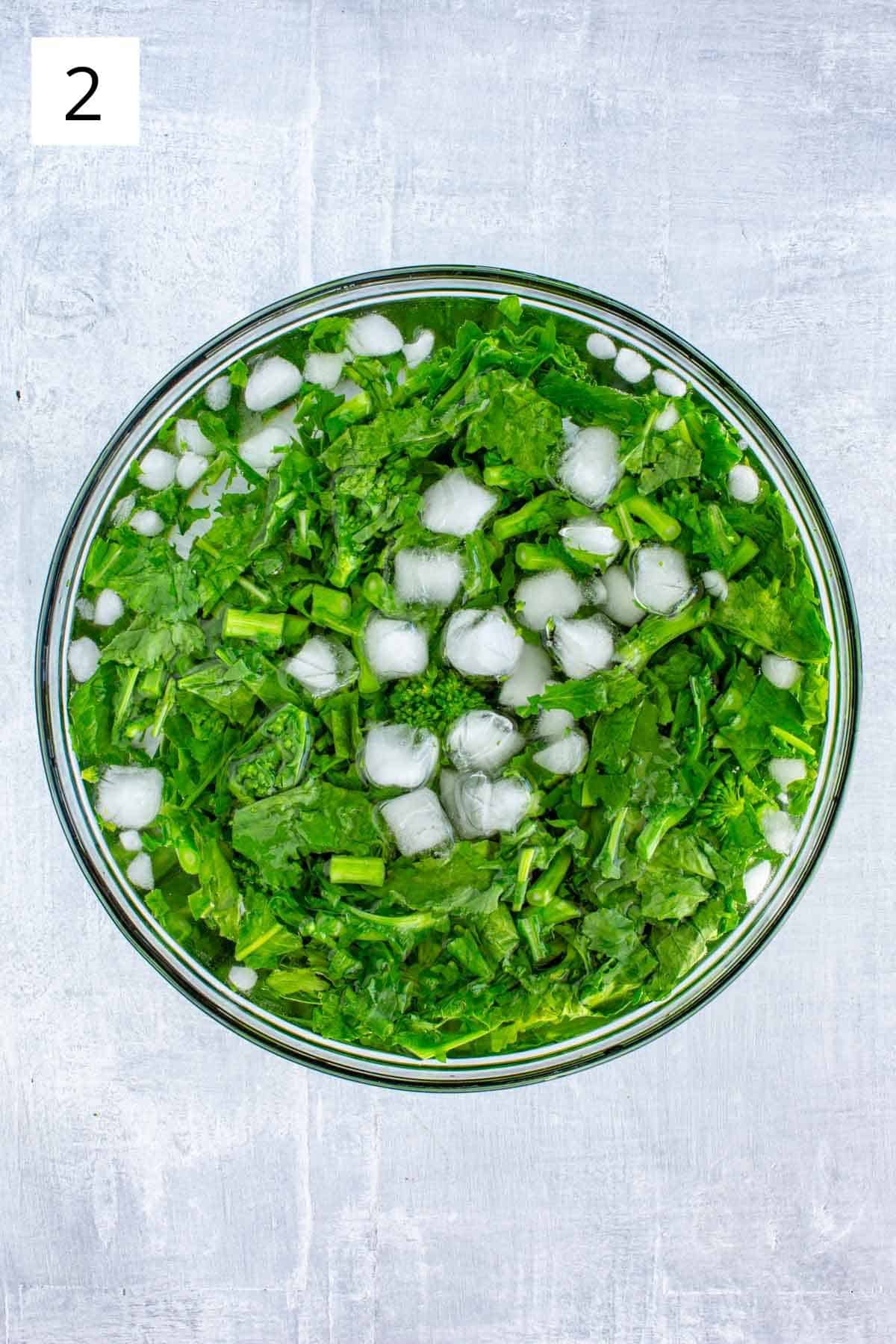 Broccoli rabe cooling in an ice bath.