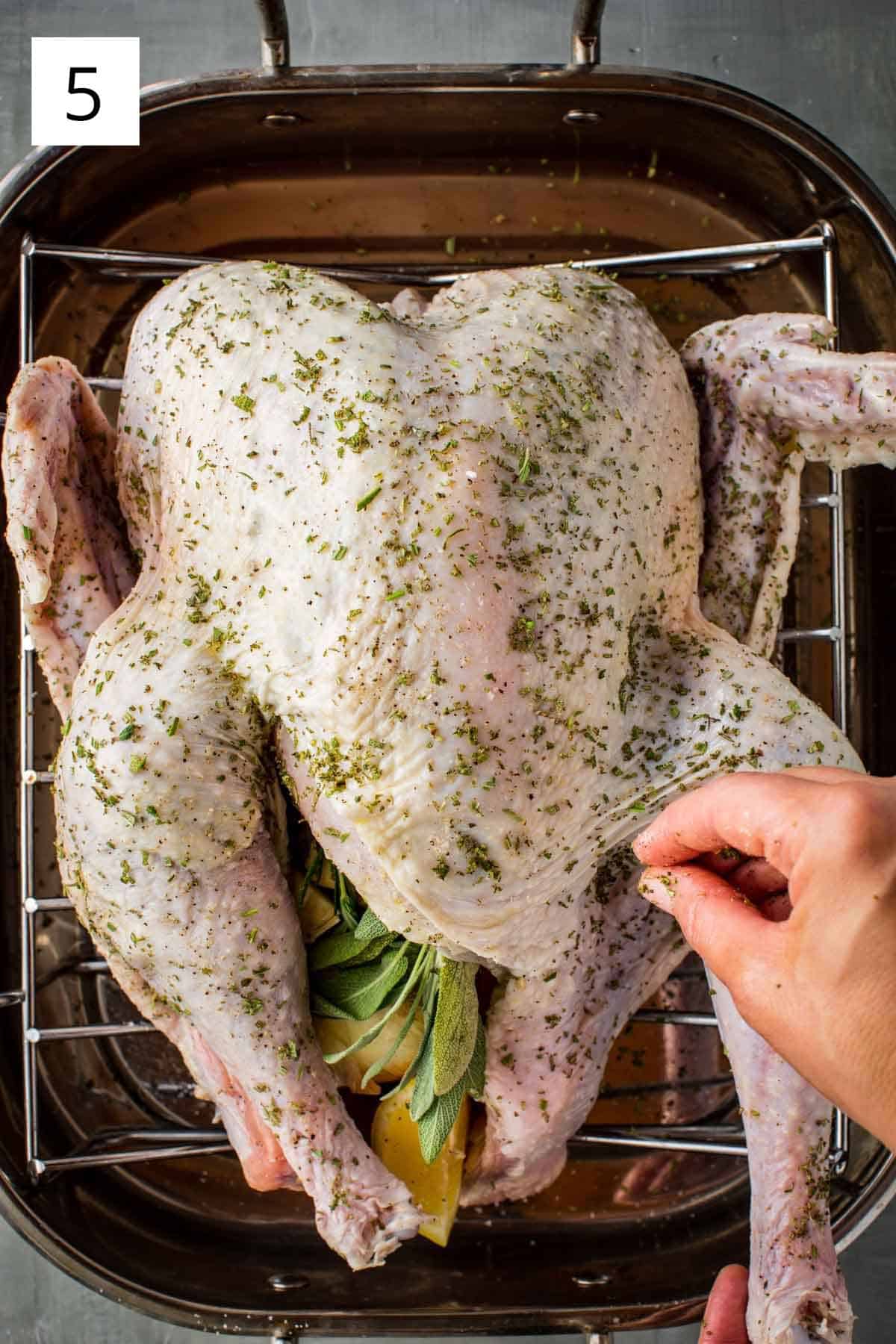 An herb roasted Italian style turkey ready for roasting.