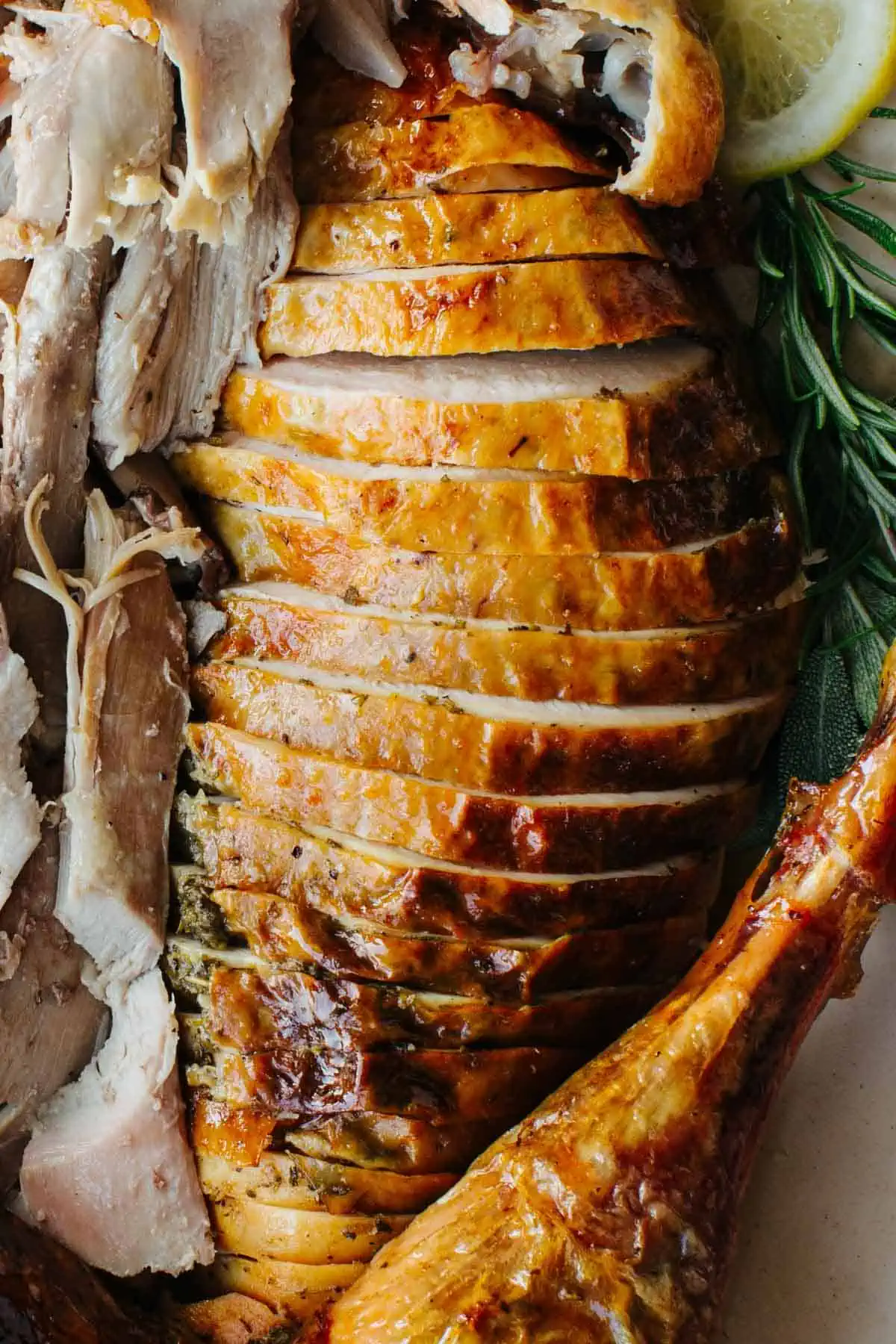 Perfectly carved turkey, rosemary and lemon slices. 
