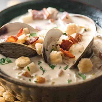A close up of opened clams in a bowl of clam chowder.