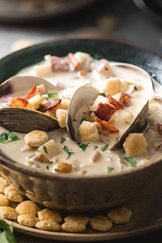 A close up of opened clams in a bowl of clam chowder.