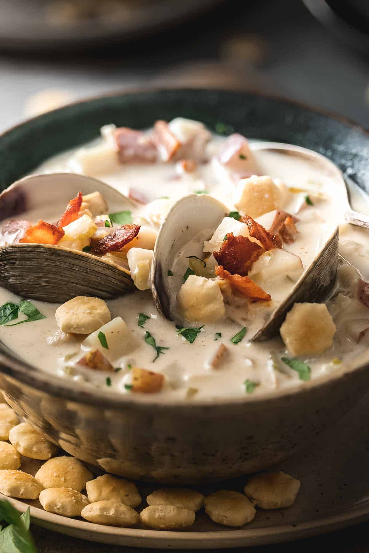 A close up of opened clams in a bowl of clam chowder.