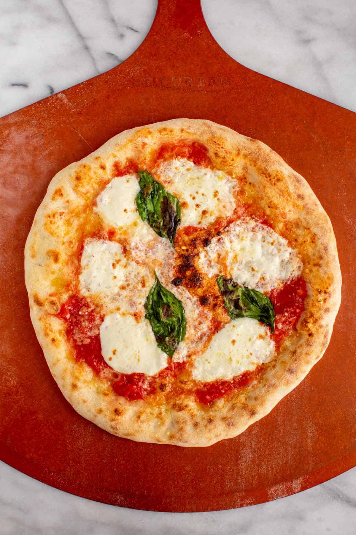 Freshly baked Margherita pizza on a wooden peel.