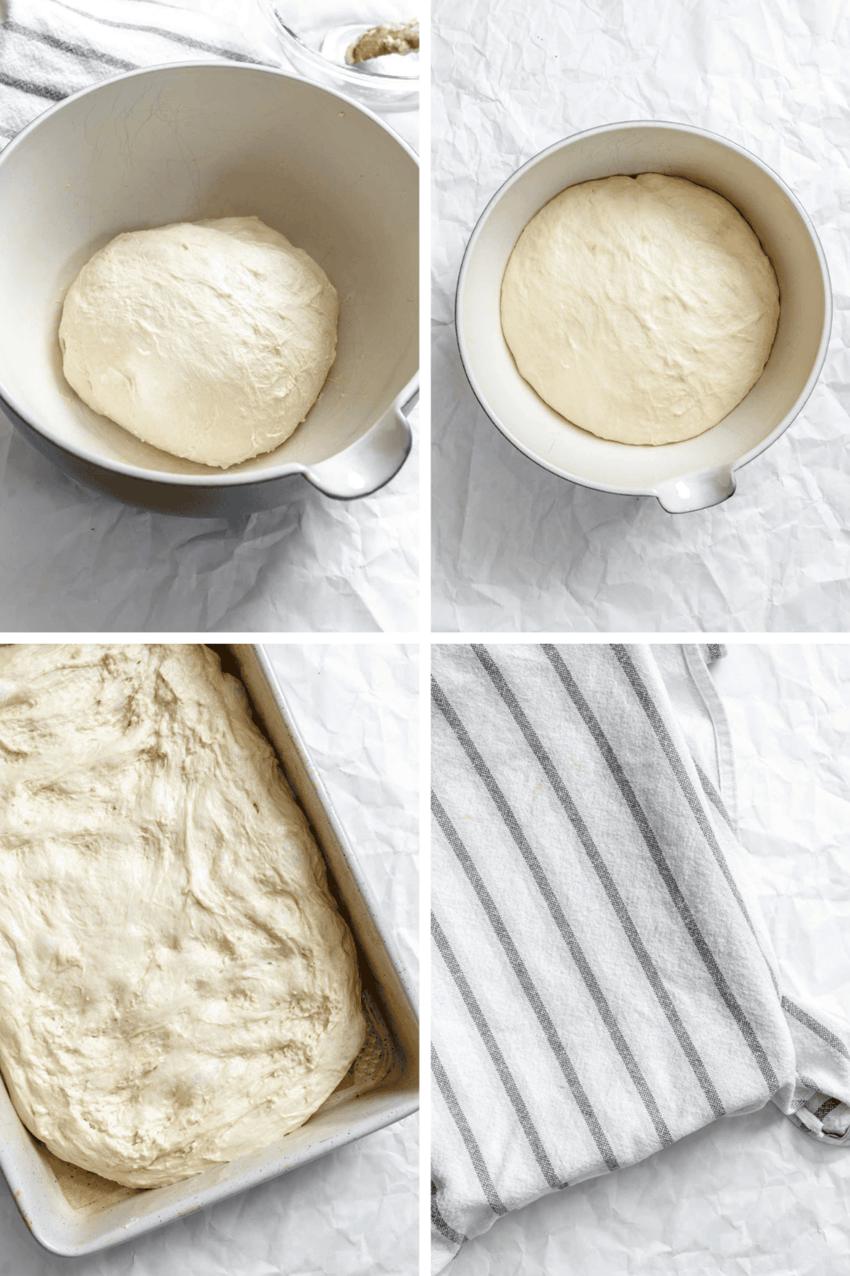Four-image collage showing dough development stages: initial placement in bowl, after rising, transferred to rectangular baking dish, and with striped kitchen towel.