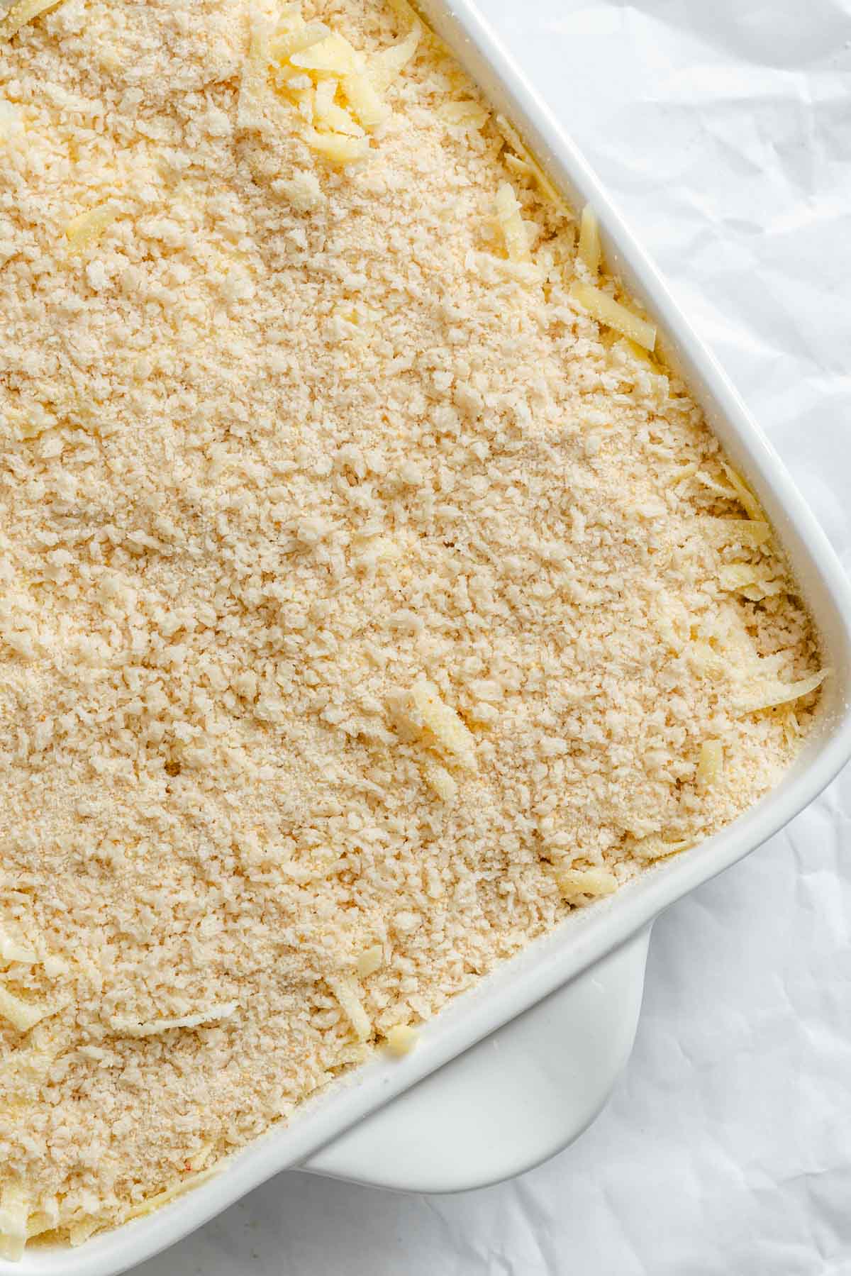 A white rectangular baking dish filled with assembled but unbaked parsnip and celery root gratin, topped with a light breadcrumb and cheese mixture, showing the layered vegetable slices visible at the edges.