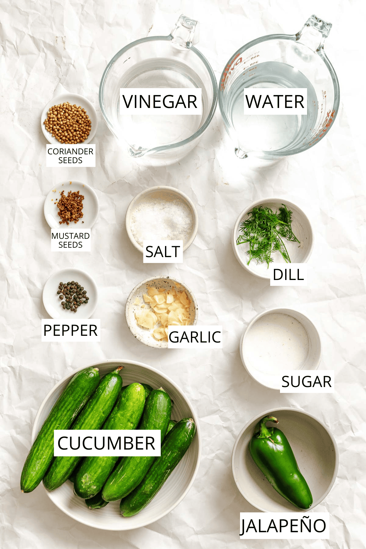 Ingredients for quick refrigerator pickles arranged on a white crinkled surface, including cucumbers, jalapeño, garlic, dill, peppercorns, mustard seeds, coriander seeds, vinegar, water, salt, and sugar.