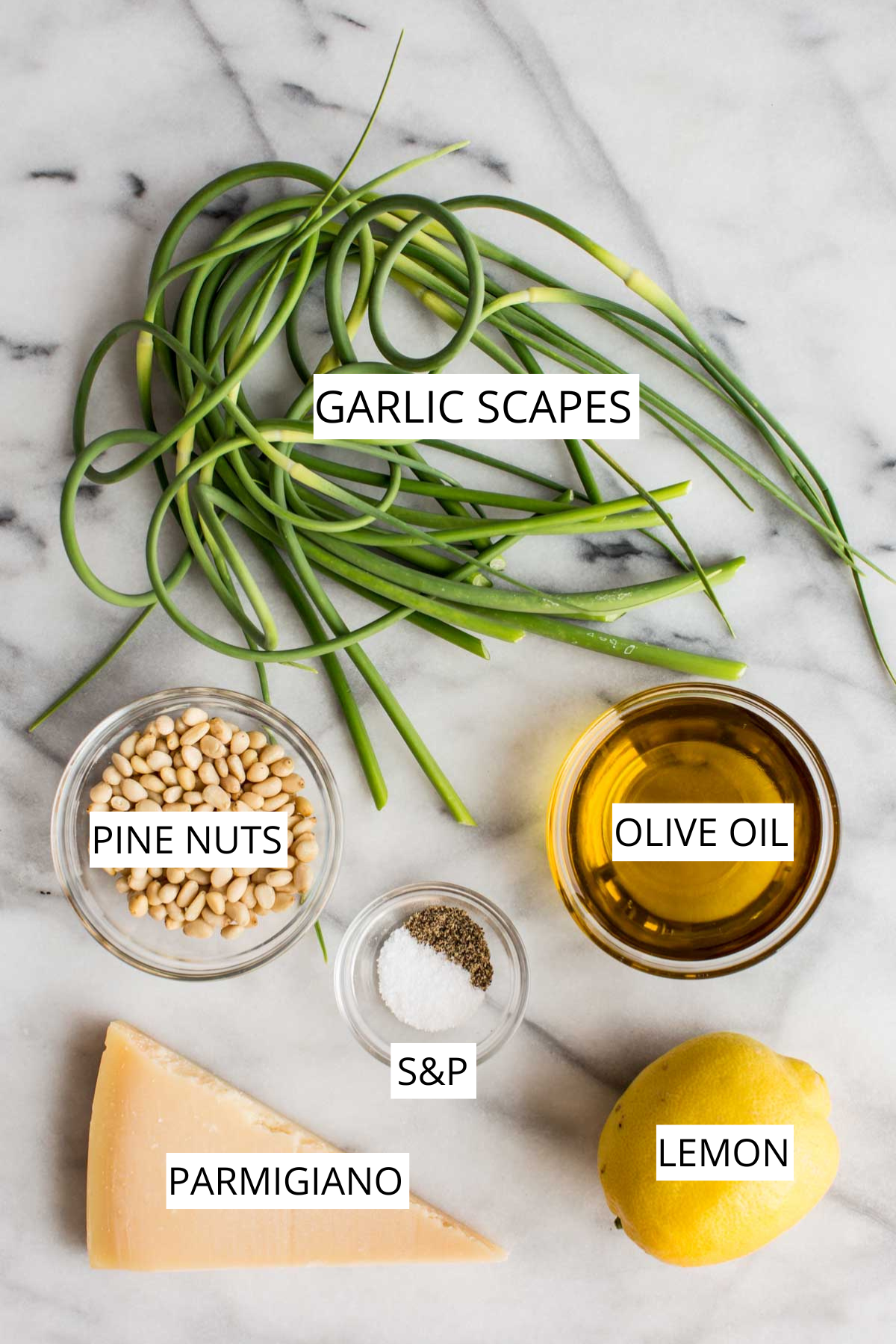 Flat lay of labeled garlic scape pesto ingredients on a marble surface, including a bundle of curly green garlic scapes, a glass bowl of golden olive oil, a wedge of Parmigiano cheese, a lemon, a small dish of salt and pepper, and a bowl of pine nuts.