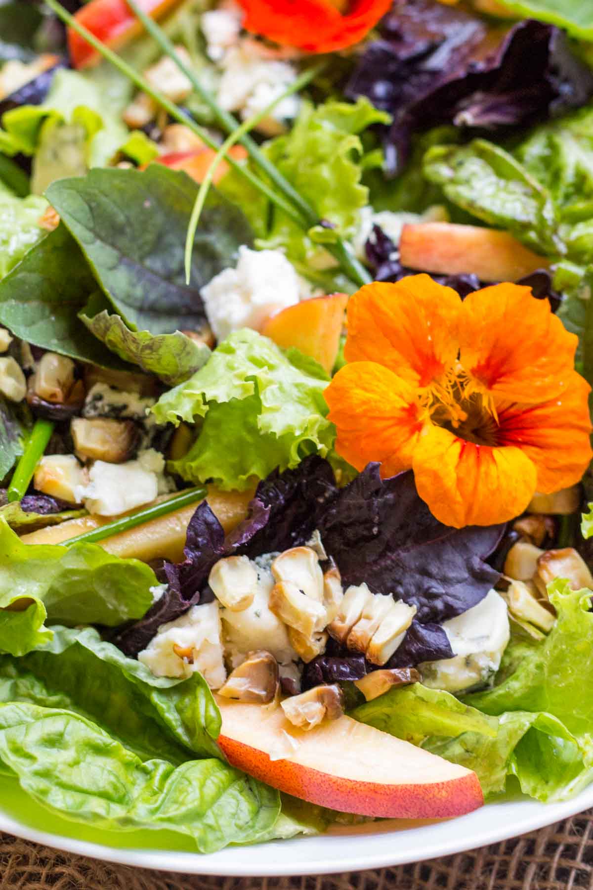 Close-up of orange nasturtium flower nestled in a bed of mixed greens with chunks of blue cheese, grilled corn, and sliced nectarines.