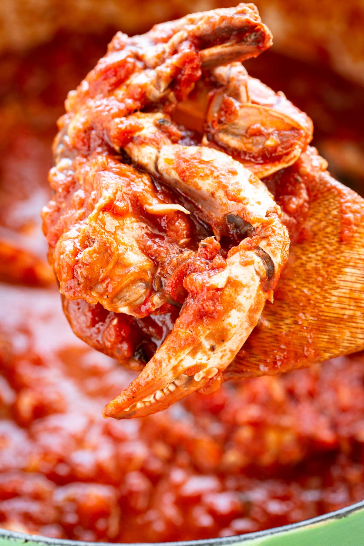 Wooden spoon lifting a crab claw coated in thick red sauce over a pot of simmering crab gravy.