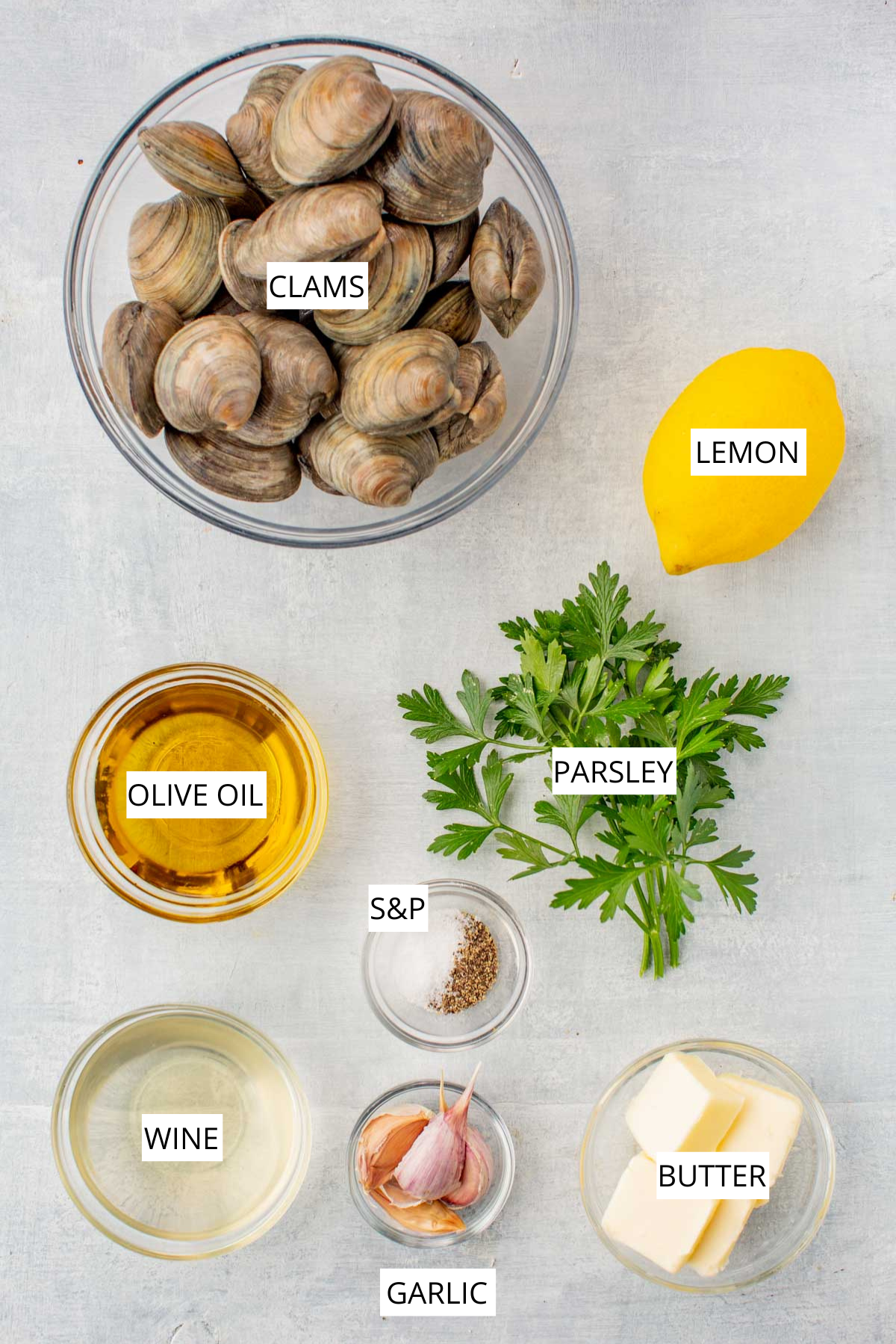 A glass bowl filled with fresh littleneck clams surrounded by lemon, fresh parsley, olive oil, white wine, garlic cloves, butter, and small bowls of salt and pepper on a light gray surface.