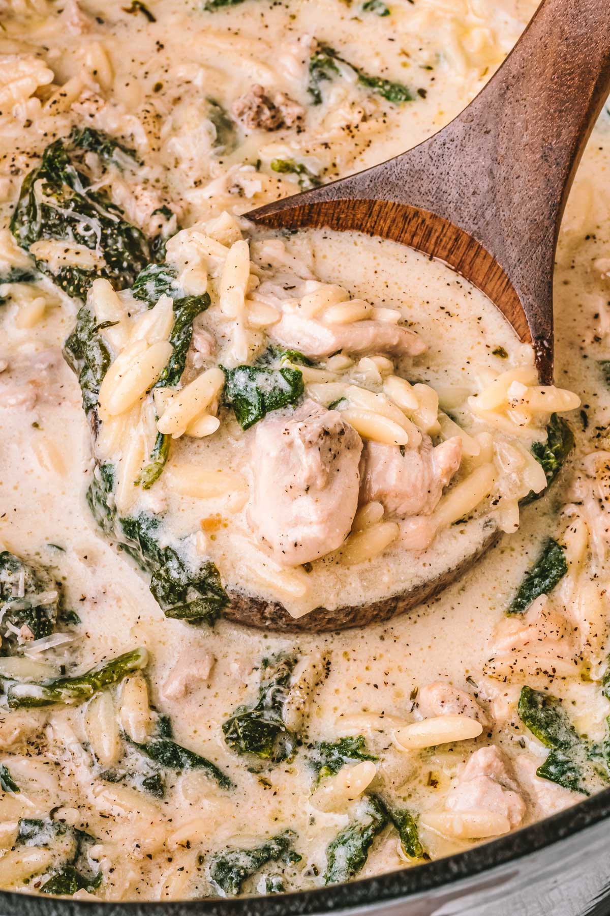 Close-up of a ladle scooping chicken Florentine soup with chunks of chicken, spinach, and orzo in creamy broth.